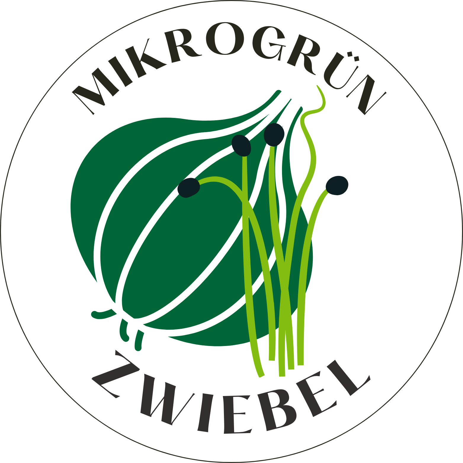 Zwiebel