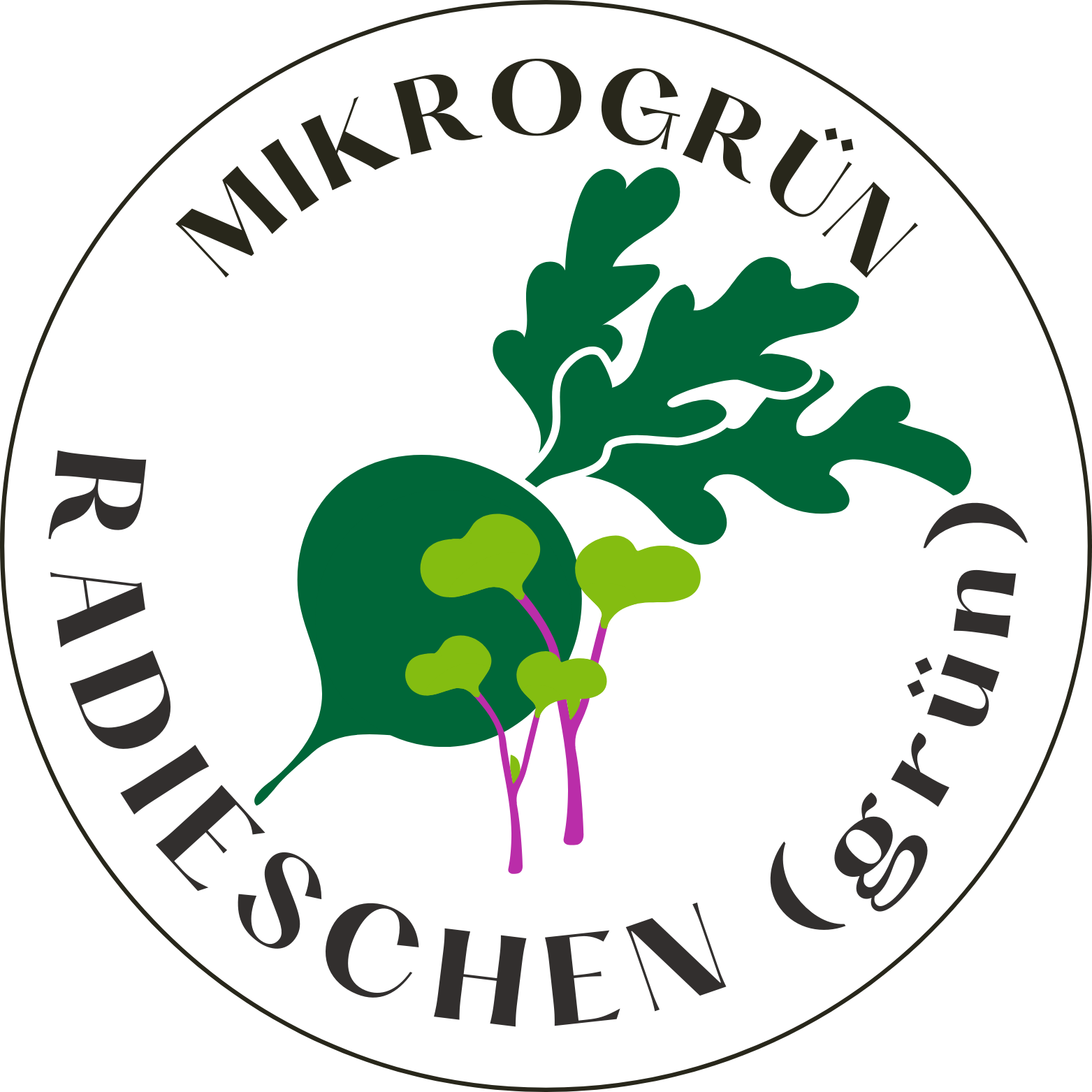 Radieschen grün